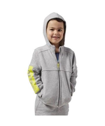 Felpa con Cappuccio Bambino Reebok B ES FL FZ HDY Grigio