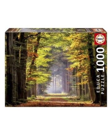 Puzzle Paseo Otoñal Educa (1000 pcs)