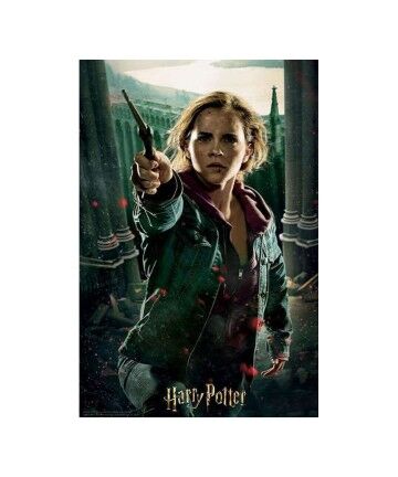 Puzzle 3D Harry Potter Hermione Granger Battle Prime3D (300 pcs)