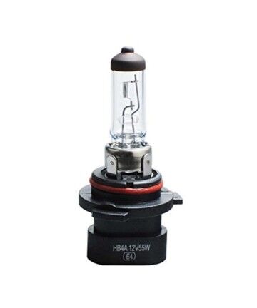 Lampadina per Auto M-Tech Z87 12 V 55 W HB4