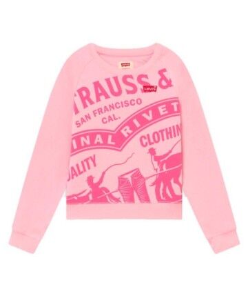 Felpa per Bambini Levi's HIGH RISE RAGLAN