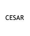 Cesar